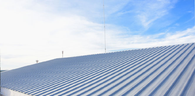 Sheeting and siding